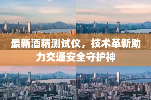 最新酒精测试仪，技术革新助力交通安全守护神