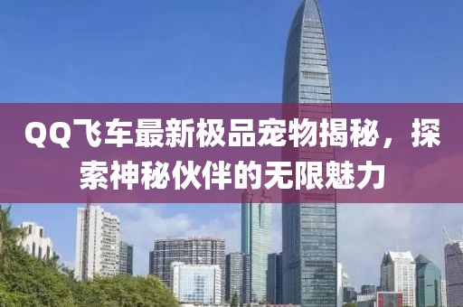 QQ飞车最新极品宠物揭秘，探索神秘伙伴的无限魅力
