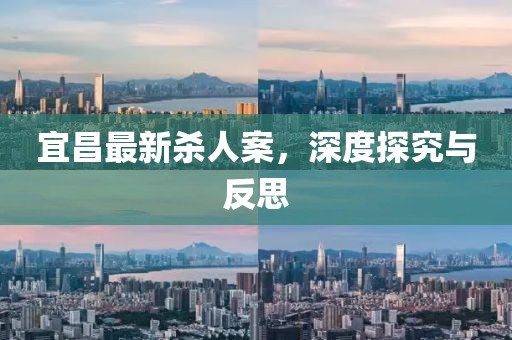 宜昌最新杀人案，深度探究与反思
