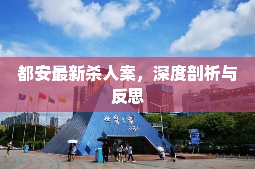 都安最新杀人案，深度剖析与反思