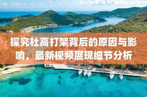 探究杜高打架背后的原因与影响，最新视频展现细节分析