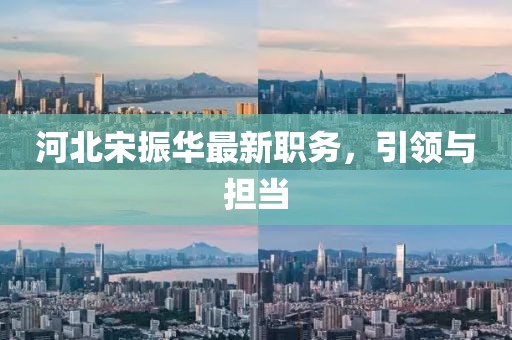 河北宋振华最新职务，引领与担当