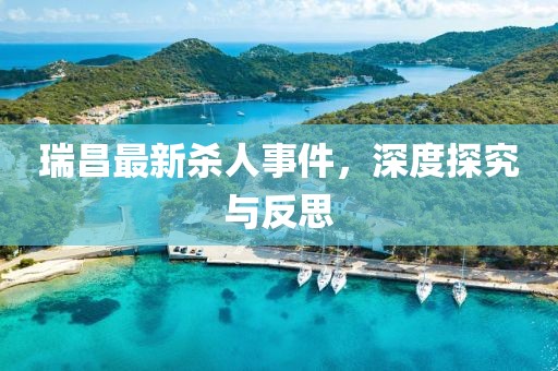 瑞昌最新杀人事件，深度探究与反思