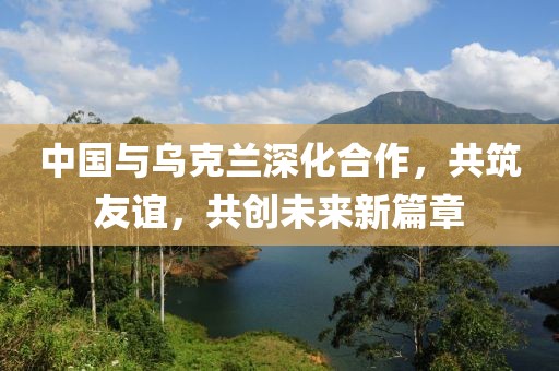 中国与乌克兰深化合作，共筑友谊，共创未来新篇章