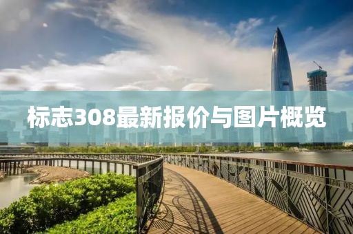 标志308最新报价与图片概览