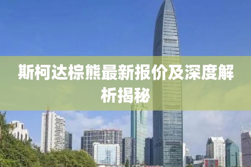 斯柯达棕熊最新报价及深度解析揭秘