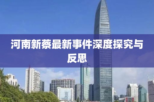 河南新蔡最新事件深度探究与反思