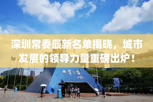 深圳常委最新名单揭晓，城市发展的领导力量重磅出炉！