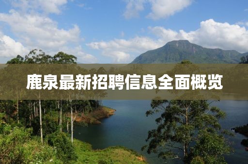 鹿泉最新招聘信息全面概览