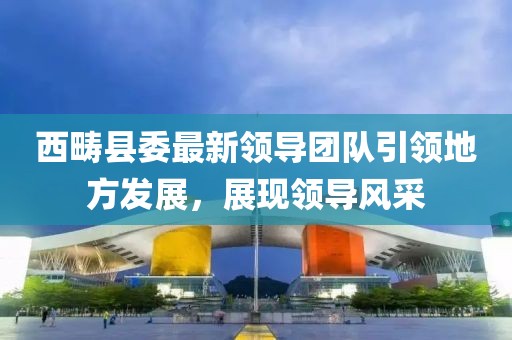 西畴县委最新领导团队引领地方发展，展现领导风采