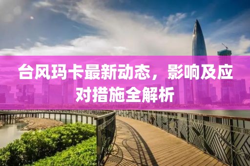 台风玛卡最新动态，影响及应对措施全解析