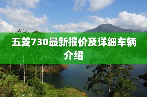 五菱730最新报价及详细车辆介绍
