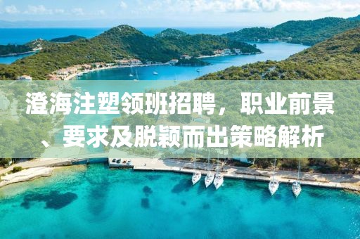 澄海注塑领班招聘，职业前景、要求及脱颖而出策略解析