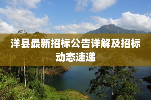 洋县最新招标公告详解及招标动态速递