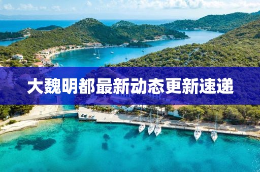 大魏明都最新动态更新速递