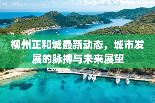 柳州正和城最新动态，城市发展的脉搏与未来展望