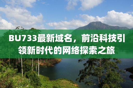 BU733最新域名，前沿科技引领新时代的网络探索之旅