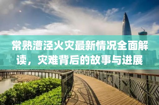 常熟漕泾火灾最新情况全面解读，灾难背后的故事与进展
