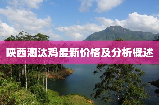 陕西淘汰鸡最新价格及分析概述