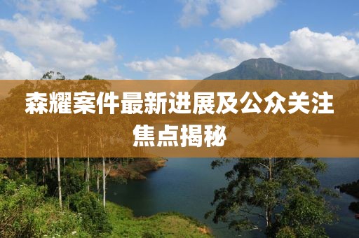 森耀案件最新进展及公众关注焦点揭秘