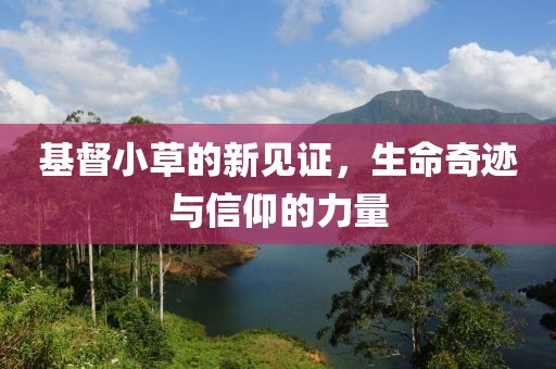 基督小草的新见证，生命奇迹与信仰的力量