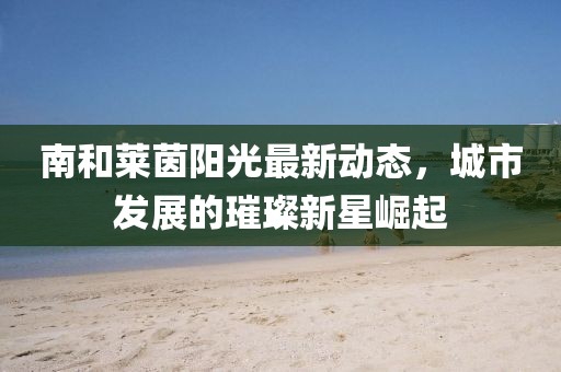南和莱茵阳光最新动态，城市发展的璀璨新星崛起