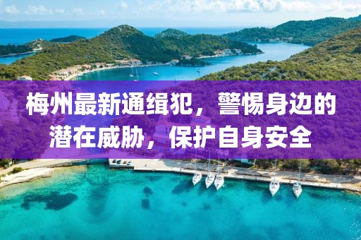 尽是敷衍 第7页