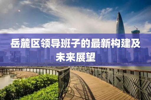 岳麓区领导班子的最新构建及未来展望