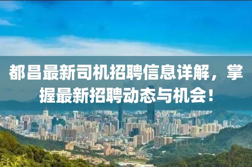都昌最新司机招聘信息详解，掌握最新招聘动态与机会！