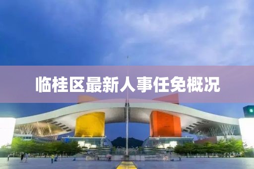 临桂区最新人事任免概况