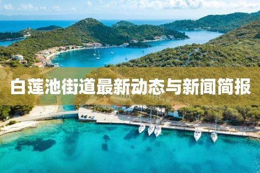 白莲池街道最新动态与新闻简报
