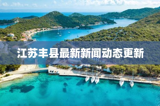 江苏丰县最新新闻动态更新