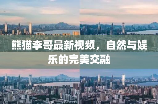 熊猫李哥最新视频，自然与娱乐的完美交融