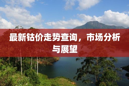 最新钴价走势查询，市场分析与展望