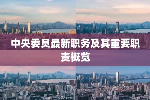 中央委员最新职务及其重要职责概览