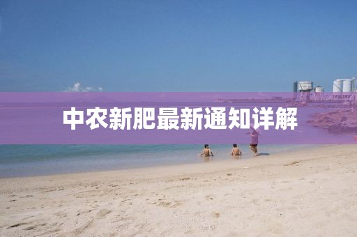 2025年1月