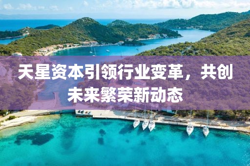 天星资本引领行业变革，共创未来繁荣新动态