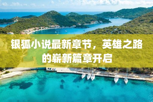 银狐小说最新章节，英雄之路的崭新篇章开启