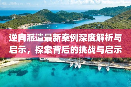 逆向派遣最新案例深度解析与启示，探索背后的挑战与启示