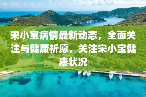 宋小宝病情最新动态，全面关注与健康祈愿，关注宋小宝健康状况