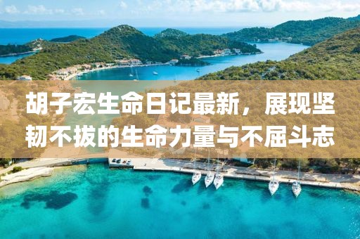 胡子宏生命日记最新，展现坚韧不拔的生命力量与不屈斗志