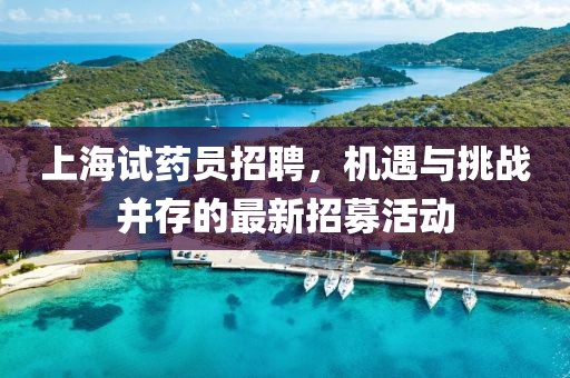 上海试药员招聘，机遇与挑战并存的最新招募活动