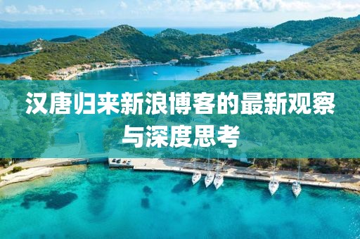 汉唐归来新浪博客的最新观察与深度思考