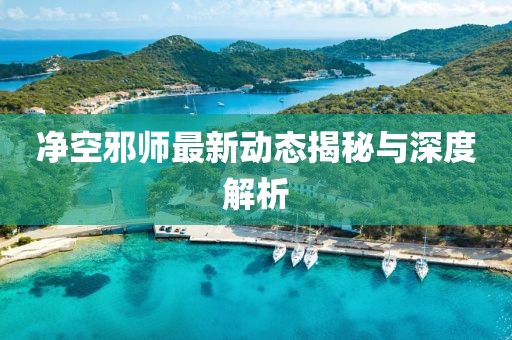 净空邪师最新动态揭秘与深度解析