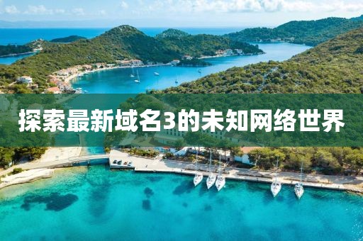 探索最新域名3的未知网络世界