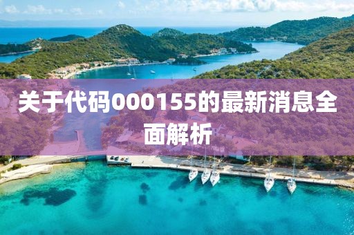 关于代码000155的最新消息全面解析