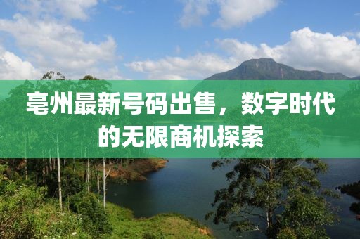 亳州最新号码出售，数字时代的无限商机探索