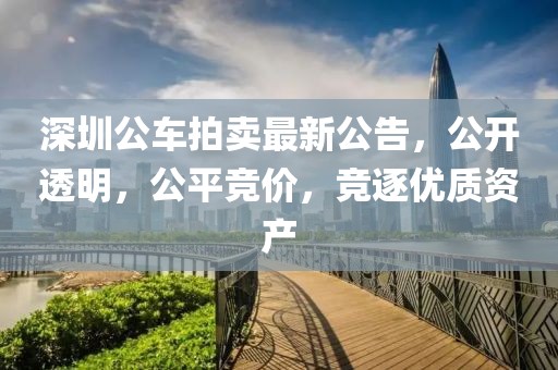 深圳公车拍卖最新公告，公开透明，公平竞价，竞逐优质资产