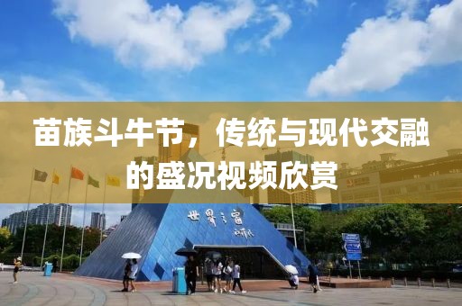 苗族斗牛节，传统与现代交融的盛况视频欣赏