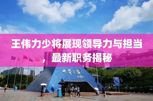 王伟力少将展现领导力与担当，最新职务揭秘